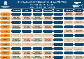 Ders Program�