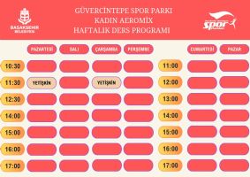 Ders Programı